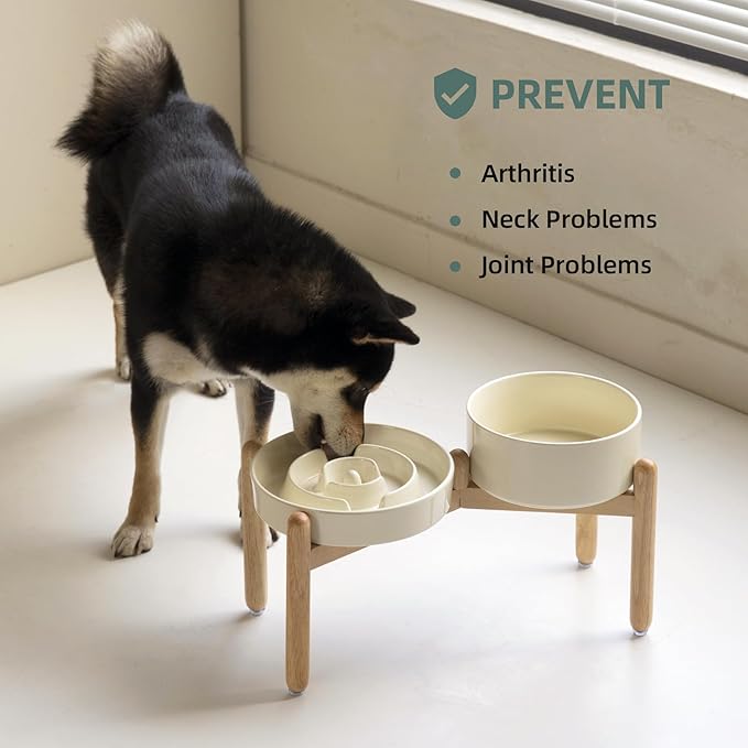 Ceramic Raised Slow Feeder Dog Bowl Set, Elevated 7.3inch Bowl and 8.2inch Puzzle Slow Dish with Wooden Stand for Medium and Large Dog, Anti-Gulping (2X Beige+ Stand)