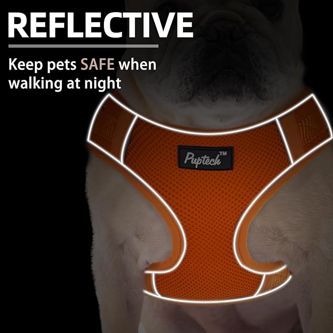 PUPTECK Small Dog Harness and Leash Set, No Pull Adjustable Puppy Cat Harness, Reflective Soft Mesh Pet Vest Small Sized, Orange, S