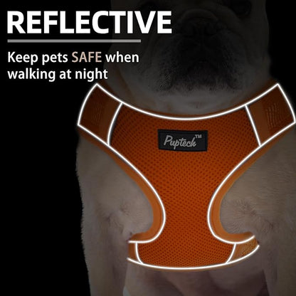 PUPTECK Small Dog Harness and Leash Set, No Pull Adjustable Puppy Cat Harness, Reflective Soft Mesh Pet Vest Small Sized, Orange, S