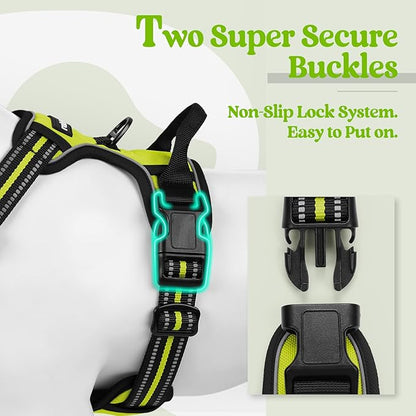 rabbitgoo Dog Harness No Pull with 2 Leash Clips, Adjustable Soft Padded, Reflective Oxford No Choke Pet Vest with Easy Control Handle for Small Dogs, Wild Lime,S