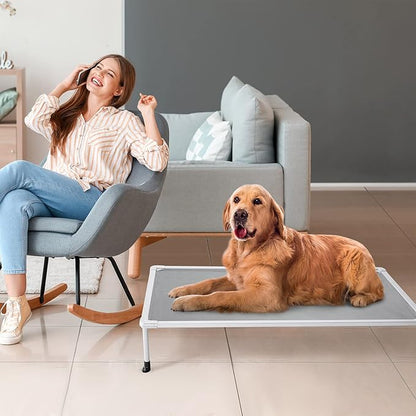 Veehoo Chewproof Elevated Dog Bed - Cooling Raised Pet Cot, Breathable Mesh, Washable & Non-Slip for Large Dogs, Indoor/Outdoor, Grey Mat and Silver Metal Frame, 42x30inches (Model CWC2203B03)