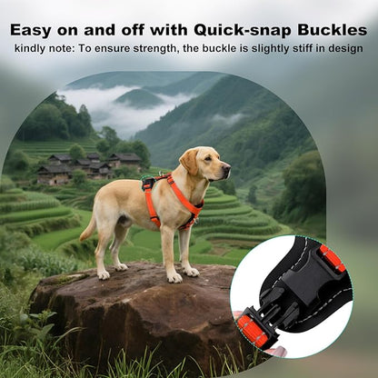 Plutus Pet Adjustable No Pull Dog Harness with Leather Accents, Heavy Duty Reflective Nylon Vest for Training, Hiking, Easy Walk Harness for Small, Medium, Large Dogs (Orange, L)