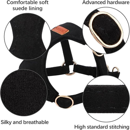 CHEDE No Pull Puppy Harness and Multifunction Dog Leash Set- 8 Colors Soft Adjustable No Choke Escape Proof Cute,Lightweight Pet Vest Harness for Small and Medium Dog (XS, Black)
