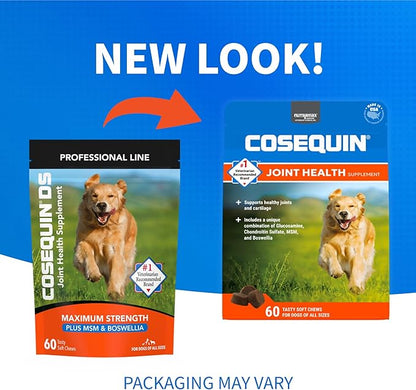 Nutramax Laboratories Cosequin DS Plus MSM Professional Line for Dogs, 60 Soft Chews