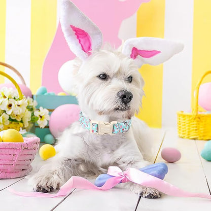 DOGWONG Easter Dog Collar, Blue Bunny Egg Dog Collar Soft Durable Adjustable Costume Cute Rabbit Easter Puppy Collar for Small Medium Large Dog