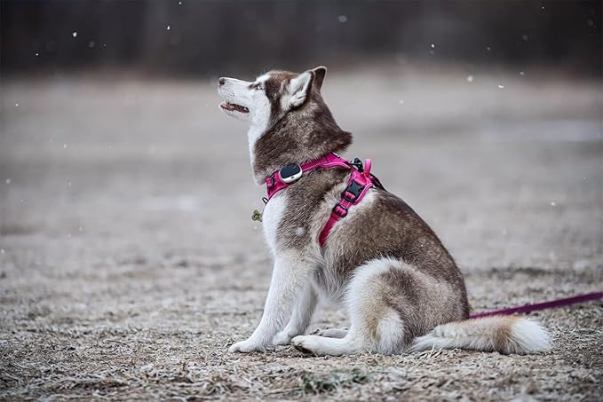 TRUE LOVE Adjustable No-Pull Dog Harness Reflective Pup Vest Harnesses Comfortable Control Brilliant Colors TLH5651(Fushcia,S)