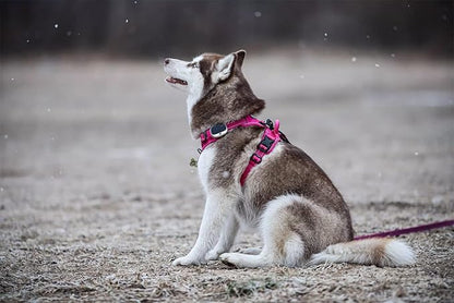TRUE LOVE Adjustable No-Pull Dog Harness Reflective Pup Vest Harnesses Comfortable Control Brilliant Colors TLH5651(Fushcia,S)