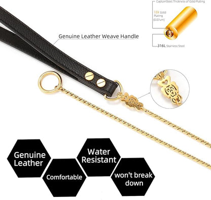CaptainSteeL Stainless Steel Dog Collar and Leash Combo, 3ft/4ft, 5mm 1m/1.2m Metal Leash for Small and Large Pets, Leather Handle