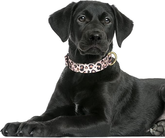 Rnivvi Dog Collar for Large Dogs, Cute Leopard Heavy Duty Adjustable Puppy Collar with Quick Release Buckle for Boy Girl & Female, Pet Accessories for Walking Running, L Length 1" Width, Pink