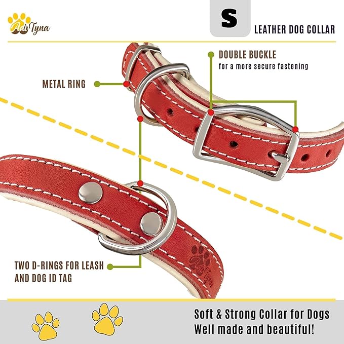 ADITYNA Heavy-Duty Leather Dog Collar for Small Dogs - Soft Padded for Comfort - Small Dog Collar for Walking, Training, and Hiking