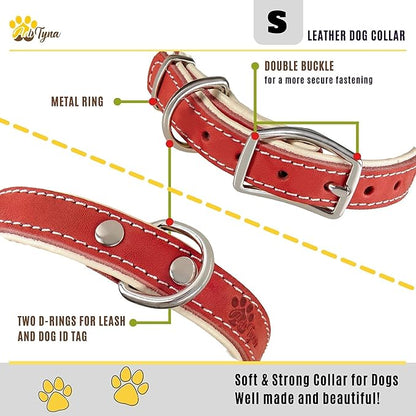 ADITYNA Heavy-Duty Leather Dog Collar for Small Dogs - Soft Padded for Comfort - Small Dog Collar for Walking, Training, and Hiking