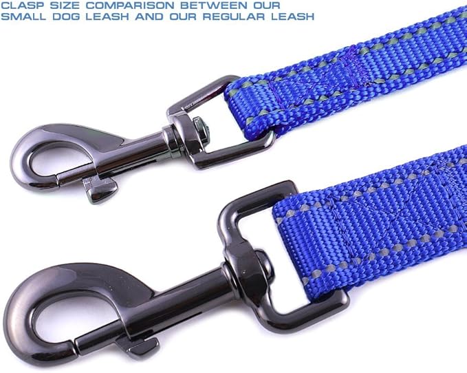 Max and Neo Small Dog Reflective Nylon Leash - We Donate a Leash to a Dog Rescue for Every One Sold (Blue, 6x5/8)