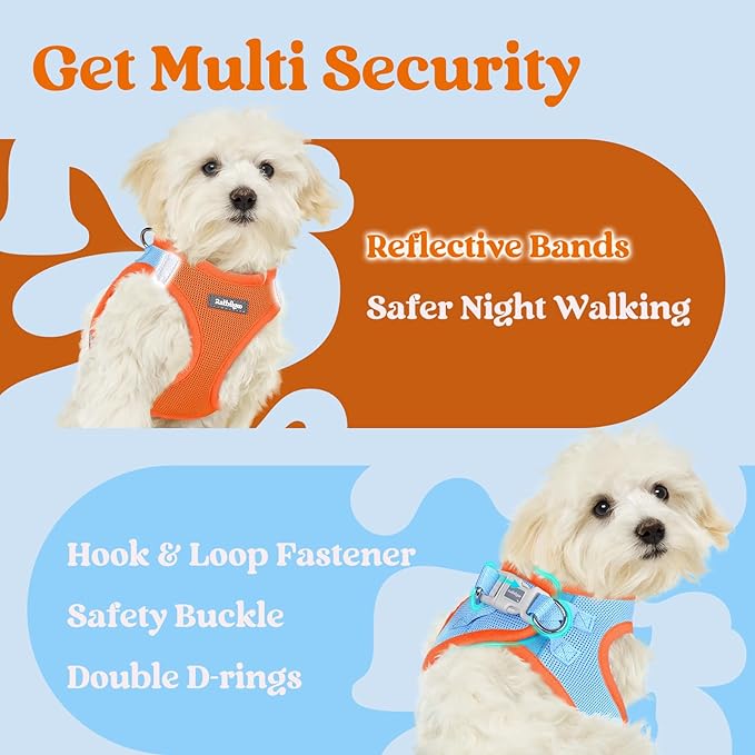 rabbitgoo Small Dog Harness, Step-in Soft Mesh Puppy Vest with Safety Buckle, Breathable Reflective Pet Harness for Small Medium Dogs, Blue & Orange XL