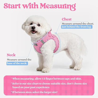 rabbitgoo Dog Harness Small Sized and Leash Set, Step in Soft Light Puppy Vest, Breathable Mesh Pet Harness, Reflective for Safe Easy Walking, Pink & Plaid Trim XS