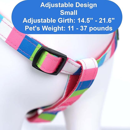Pawtitas Multicolor Step-in Dog Harness – Adjustable No-Pull Vest for Puppies to Seniors, Safe & Comfortable S Pink/Blue/Teal/Green
