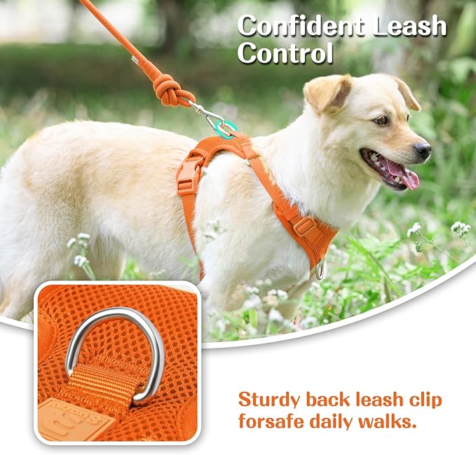 No Pull Dog Harness for Small Medium Large Dogs - Adjustable 2 Layer Mesh Dog Vest with Dual Clip, Escape Proof, Quick Release, Lightweight Breathable Mesh for Walking Hiking (Orange,S)