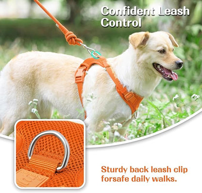No Pull Dog Harness for Small Medium Large Dogs - Adjustable 2 Layer Mesh Dog Vest with Dual Clip, Escape Proof, Quick Release, Lightweight Breathable Mesh for Walking Hiking (Orange,S)