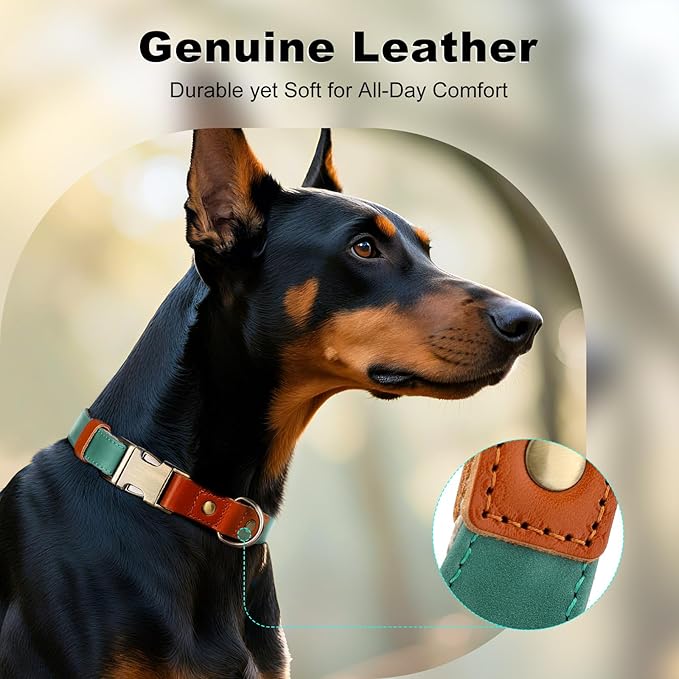 Plutus Pet Genuine Leather & Hemp Dog Collar – Adjustable Heavy Duty Pet Collar with Quick Release Metal Buckle, Soft & Stylish for Puppy and Small, Medium, Large Dogs (Green, S)
