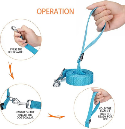 Siumouhoi Strong Durable Nylon Dog Training Leash, 1 Inch Wide Traction Rope, 6 ft Long, for Small and Medium Dog (Mint Blue, 6 Feet)
