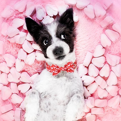 Unique Style Paws Valentine's Dog Collar with Bow Love Heart Cotton Puppy Collars Wedding for Small Medium Large Dogs