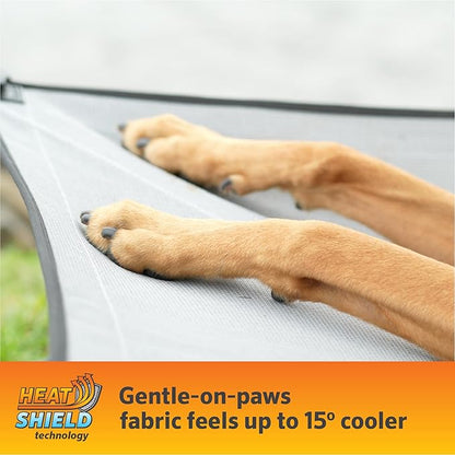 Coolaroo On-The-Go Elevated Dog Bed Kit – Portable & Cooling Travel Cot with HeatShield Fabric for Small Dogs, Lightweight & Compact, Includes Matching Carry Bag & Pacific Blue Bonus Cover, Small