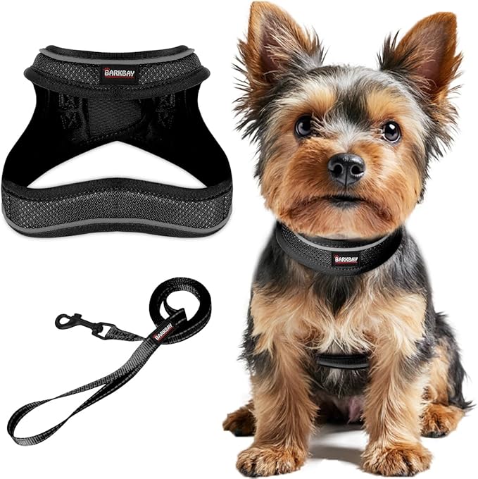 Dog Harness and Leash Set,Step in Small Sized Dog Harness,Soft Mesh,No-Chock,Reflective Adjustable,Secure with Hook & Loop Fastener,Puppy Vest for Small,Medium Dogs(Black,S)
