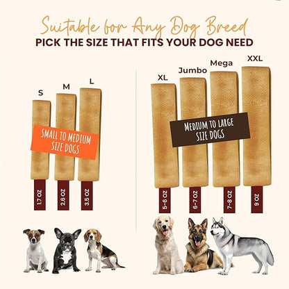 Authentic Himalayan Yak Cheese for Dogs - Medium (Pack of 10) - Sourced from Pristine Himalayan Foothill, Rawhide-Free, NO preservatives