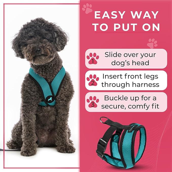 Gooby Comfort X Head-in Harness – Medium Dog Harness (9–15 lbs), Turquoise, No Pull, Choke-Free Design