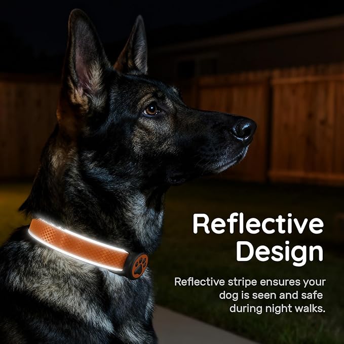 Reflective Dog Collar with Airtag Holder, IPX8 Waterproof Air Tag Dog Collar Holder | Ultra-Durable | Soft Padded | Safety Locking Buckle | Fit Small Dogs (Orange S(9.8"-15.7"))