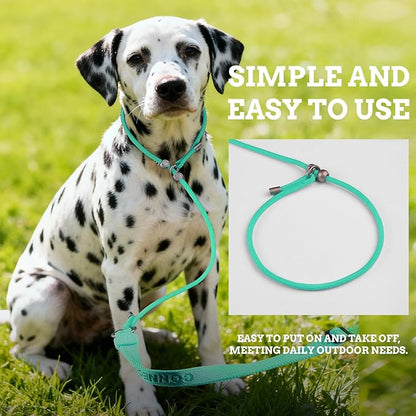 EVERKING Dog Slip Lead Dog Training Leash, No-Pull Slip Leash and Collar,Nylon Material Heavy-Duty and Durable,with Comfortable Padded Handle,Suitable for All Dogs (Green(4.9-5.9FT-Metal Buckle))
