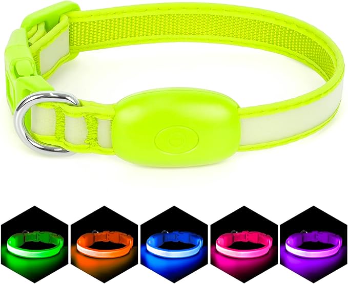 Light up Collar for Small Dog,Vizpet XS Adjustable Size Nylon Collar USB Rechargeable Bright Safety Pet Collar for Cats Small Dogs (Green, X-Small[ 8.66-11.9 inch/22cm-30cm])