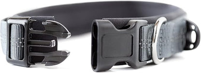 Mighty Paw Dog Collar - Neoprene Padded - Reflective for Running - Extra Comfort for Active Dogs - Lined and Strong Collar - Premium Quality for All Breeds - Soft