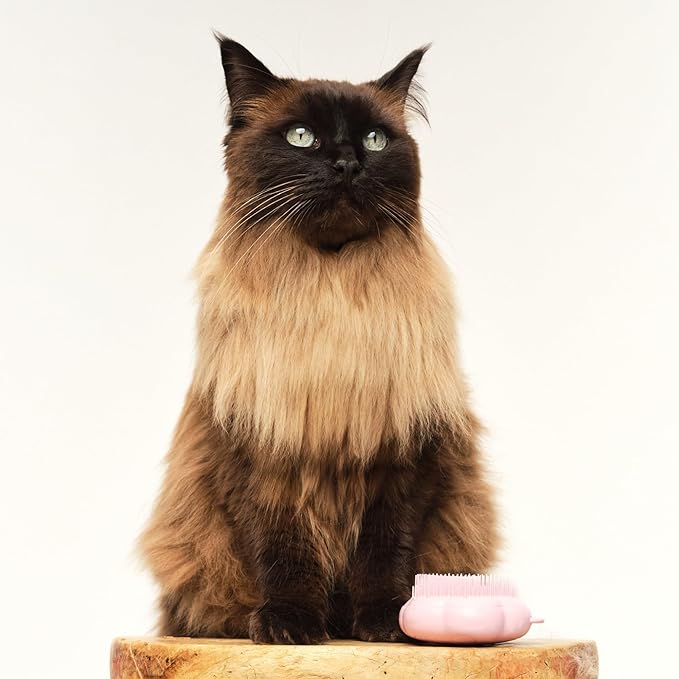 Pet Teezer by Tangle Teezer Cat Brush, De-Shedding Cat Hair Brush for a Gentle, Soothing Groom & Short to Medium Length Fur, Millennial Pink