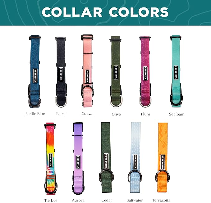 Wilderdog Waterproof Dog Collar - Repels Water & Dirt - Small 11"-15" - Saltwater