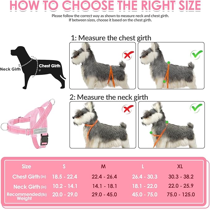 SlowTon No Pull Dog Harness - Heavy Duty Dog Harness and Leash Set for Medium Large Dogs, Reflective Tactical Harness with Soft Padded and Front Clip for Easy Walk and Training (PI, S)