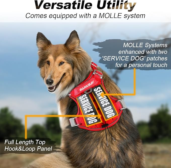 BARKBAY Service Dog Vest Tactical Dog Harness Medium Large Sized Dog Tags Personalized No Pull Adjustable Harness Reflective K9 Working Training Easy Control Military Molle System(Red,L