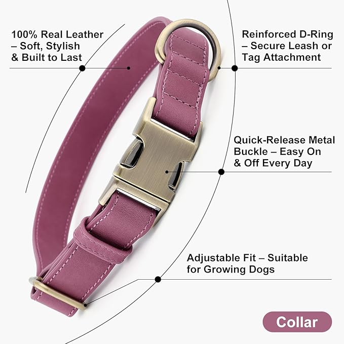 Plutus Pet Genuine Leather Dog Collar – Adjustable Pet Collar with Quick Release Metal Buckle, Soft Real Leather for Small Medium Large Dogs, Heavy Duty & Skin-Friendly (Purple, S)