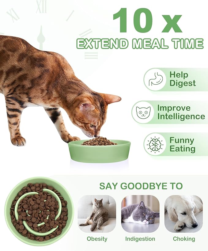 TRUVIC Ceramic Slow Feeder Dog Bowls Small Breed, 0.6 Cup Slow Feeder Cat Bowls for Fast Eaters, Ceramic Dog Food Dish no Black Chin, Puzzle Bowl for Small Dogs and Cats, Green