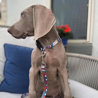 Lucky Love Dog, Nautical Dog Leash, Polka Dot Blue Red White Striped for Male Female Dogs, Durable & Long Lasting Dog Leashes - (Large, Linus Leash)
