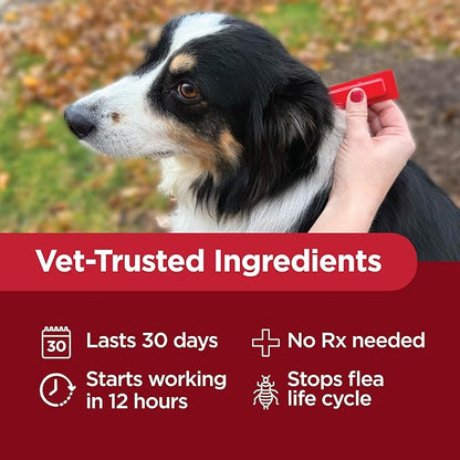 TevraPet Activate II Flea and Tick Prevention for Dogs | 4 Count | Large Dogs 21-55 lbs | Topical Drops | 4 Months Flea Treatment