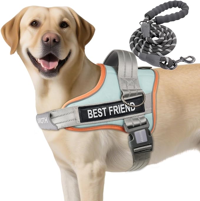AUROTH Dog Harness and Leash Set, Soft Padded Dog Vest with 5.25FT Dog Leash, No Choke, Easy On Pet Vest, Adjustable Reflective No Pull Dog Harness for Large Dogs, Easy Walking and Training