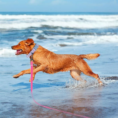 Wolfone 40ft Pink Long Leash - Waterproof Training Dog Leash for Recall, Swimming, Camping, Beach, Hunting, Walking