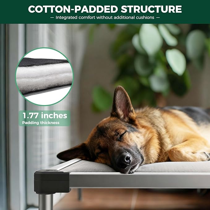 FXW TitanNest Chew-Proof Elevated Dog Bed, Raised Cot for Indoor/Outdoor/Camping Use, Durable & Washable Padded Pet Bed for Large Dogs, 50.0" L x 31.0" W x 7.3" H, Gray