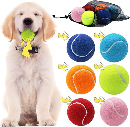 Swingers Squeaky Tennis Balls for Dogs,2.5 inch Training Tennis Balls,Exercise Ball for Pet Dog with Mesh Carry Bag Easy to Transport (Multicolor, 6 Pack)