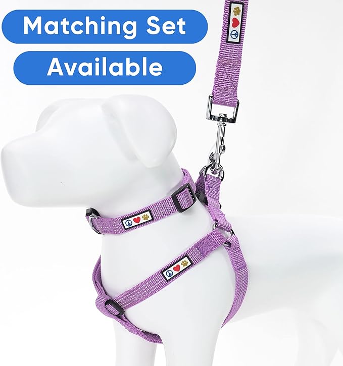 Pawtitas Reflective Dog Collar Adjustable Dog Collars for Small Dogs Puppy Collar Small Dog Collar Orchid Purple Dog Collar