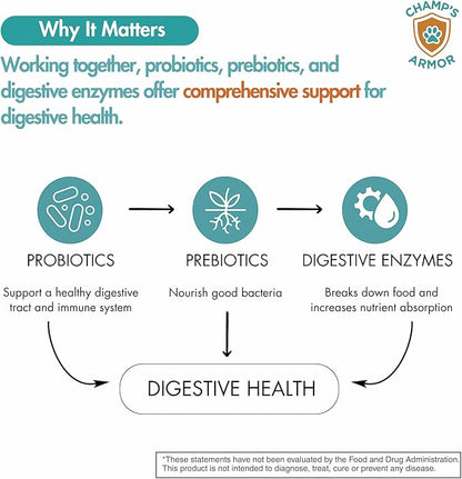 Probiotics for Dogs with Digestive Enzymes - 2.4 Billion CFU Dog Probiotic Supplements for Upset Stomach, Digestive Health, Diarrhea Relief - 60 Chicken Flavor Chews
