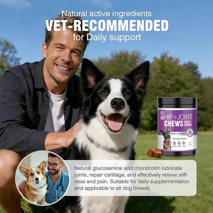 Glucosamine for Dogs 200pcs Joint Support Supplement Dog Hip and Joint Chondroitin Chews Treats with MSM Dog Joint Pain Relief Mobility Supplements Chicken Flavor Fit All Large Small Medium Breed
