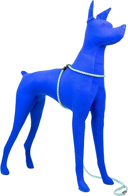 Harness Lead No Pull Dog Harness and Leash Set, Anti Pull Dog Harness, One-Piece Cushioned Rope Safely Prevents Escaping and Pulling *New Insert is Removable (Medium/Large, Peacock/Blue/Lime)