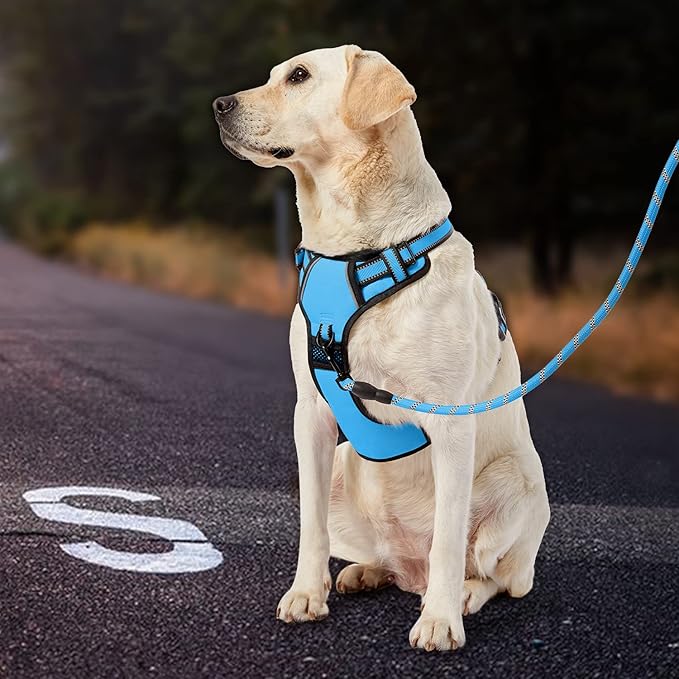 IVY&LANE No Pull Dog Harness for Medium Dogs, Dog Vest Harness with Leash, Safety Belt and Storage Strap, Fully Adjustable, 360° Reflective Strip, Soft Handle (Blue, M)