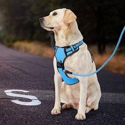 IVY&LANE No Pull Dog Harness for Medium Dogs, Dog Vest Harness with Leash, Safety Belt and Storage Strap, Fully Adjustable, 360° Reflective Strip, Soft Handle (Blue, M)
